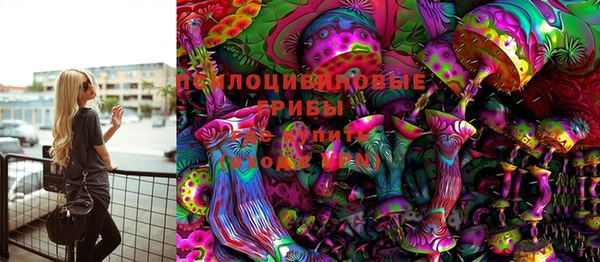 гидра Дмитровск