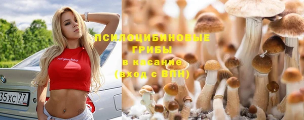 гидра Дмитровск